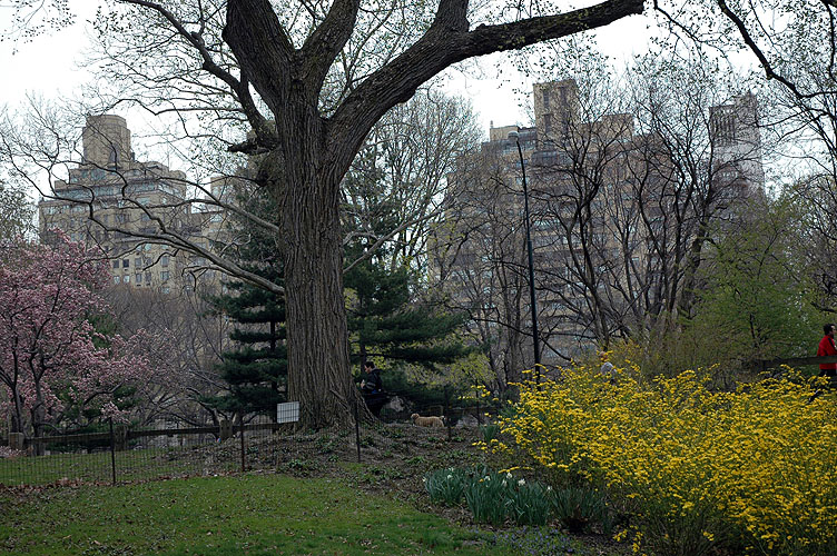 Monday, April 18, 2011 New York 038.JPG